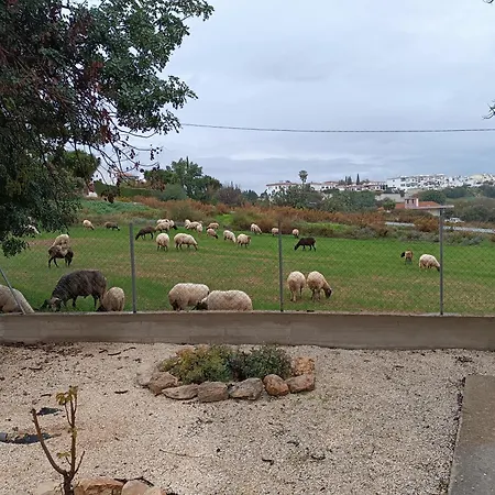 Kapsalia Villa Pissouri