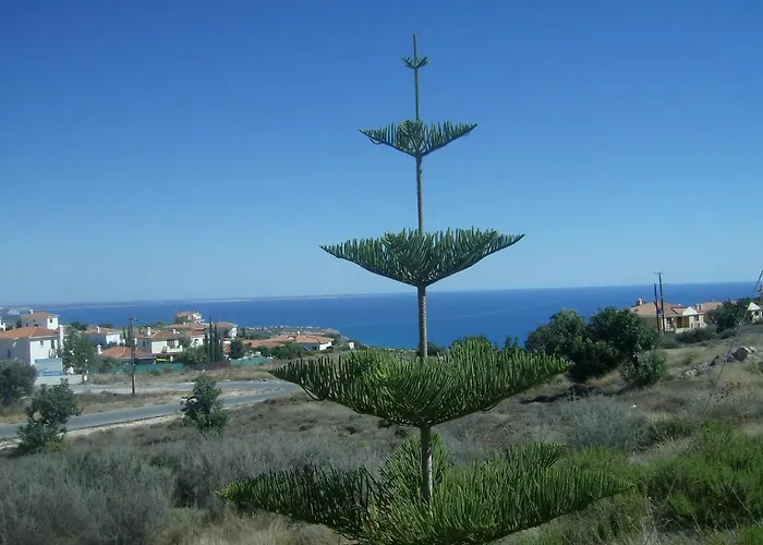 فيلة Kapsalia بيسوري